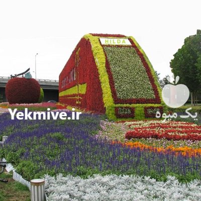 گلدان طبقاتی قطارسبز فلاورباکس احجام قطار در تهران در گروه خرید و فروش گیاهان زینتی در یکمیوه -عکس4