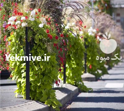 گلدان حفاظ سبز گارد ریل باکس در تهران در گروه خرید و فروش تجهیزات گلخانه در یکمیوه -عکس1