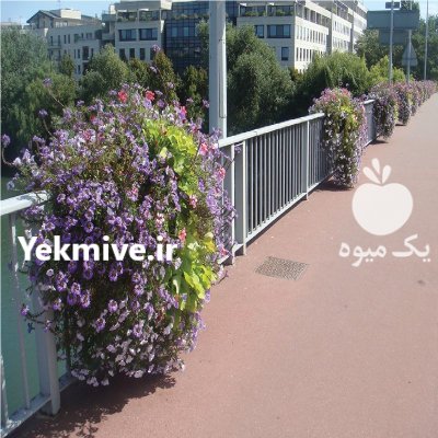 گلدان حفاظ سبز گارد ریل باکس در تهران در گروه خرید و فروش تجهیزات گلخانه در یکمیوه -عکس2