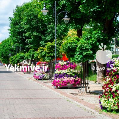 فلاورباکس طبقاتی هیلدا گلدان طبقاتی گرد در تهران در گروه خرید و فروش تجهیزات گلخانه در یکمیوه -عکس2