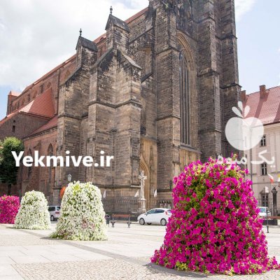 فلاورباکس طبقاتی هیلدا گلدان طبقاتی گرد در تهران در گروه خرید و فروش تجهیزات گلخانه در یکمیوه -عکس4