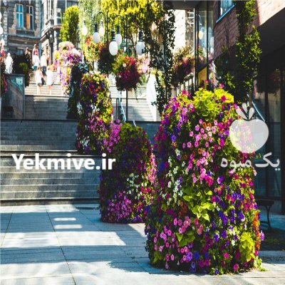 فلاورباکس طبقاتی هیلدا گلدان طبقاتی گرد در تهران در گروه خرید و فروش تجهیزات گلخانه در یکمیوه -عکس3