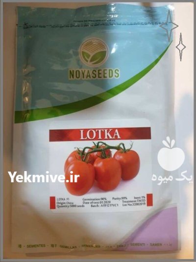 فروش بذر گوجه فرنگی لوتکا آمریکا در اهواز در گروه خرید و فروش بذر گوجه در یکمیوه -عکس1