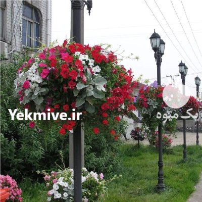 فلاورباکس پایه ستون هیلدا گلدان طبقاتی در تهران در گروه خرید و فروش تجهیزات گلخانه در یکمیوه -عکس2