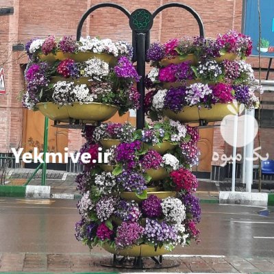 فلاورباکس شهری هیلدا گلدان طبقاتی طرح در گروه خرید و فروش تجهیزات گلخانه در یکمیوه -عکس4
