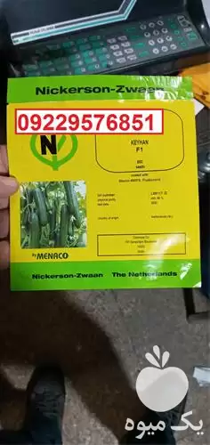 فروش قیمت بذر خیار گلخانه ای در مشهد در گروه خرید و فروش بذر خیار در یکمیوه -عکس1