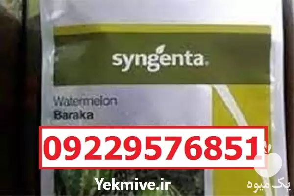 بذر هندوانه باراکا پرفروش اصل در اهواز در گروه خرید و فروش بذر هندوانه در یکمیوه -عکس1