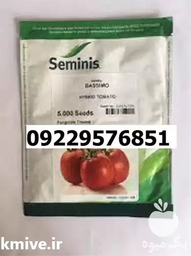 بذر گوجه فرنگی باسیمو پرفروش اصل در اصفهان در گروه خرید و فروش بذر گوجه در یکمیوه -عکس1