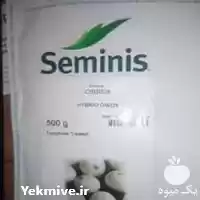 فروش بذر پیاز سایروس در بندرلنگه در گروه خرید و فروش بذر پیاز در یکمیوه