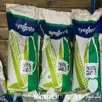 قیمت خرید بذر ذرت اکسن چوئیت در گروه خرید و فروش بذر ذرت در یکمیوه