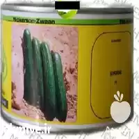 قیمت خرید بذر خیار فضای باز در گروه خرید و فروش بذر خیار در یکمیوه