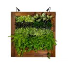 دیوار گل آماده مدرن و زیبا گلدان در تهران در گروه سازنده در یکمیوه