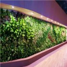 دیوار گل پیوسته طبیعی هیلدا باکس در تهران در گروه سازنده در یکمیوه