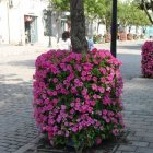 فلاورباکس دور درختی هیلدا گلدان طبقاتی در تهران در گروه خرید و فروش انواع گل در یکمیوه