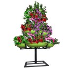 فلاورباکس طبقاتی هیلدا گلدان طبقاتی کاج در گروه خرید و فروش و قیمت کاج در یکمیوه