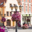 فلاورباکس پایه ستون هیلدا گلدان طبقاتی در تهران در گروه خرید و فروش تجهیزات گلخانه در یکمیوه