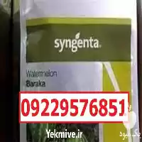 بذر هندوانه باراکا پرفروش اصل در اهواز در گروه خرید و فروش بذر هندوانه در یکمیوه