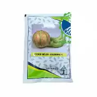 فروش قیمت عرضه بذر ملون شاهپسند در گروه خرید و فروش بذر ملون در یکمیوه