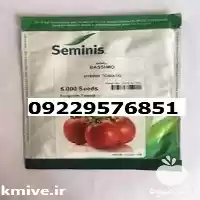 بذر گوجه فرنگی باسیمو پرفروش اصل در اصفهان در گروه خرید و فروش بذر گوجه در یکمیوه