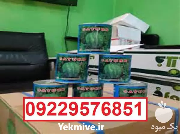 فروش بذر هندوانه میکادو در کرمان  در گروه خرید و فروش بذر هندوانه در یکمیوه -عکس1