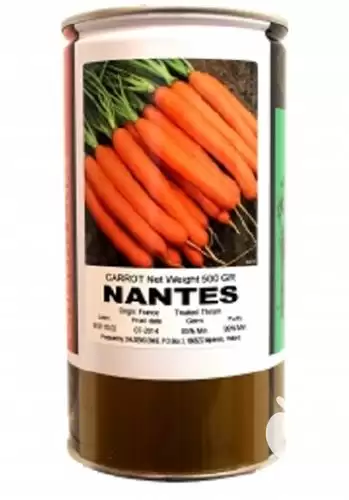 فروش بذر هویج نانتس ویکیما در بجنورد در گروه خرید و فروش بذر هویج در یکمیوه -عکس1