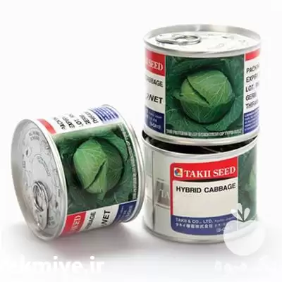 قیمت خرید بذر کلم پیچ هیبرید در گرگان در گروه خرید و فروش بذر صیفی جات در یکمیوه -عکس1