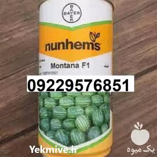 بذر هندوانه مونتانا پرفروش اصل در گروه خرید و فروش بذر هندوانه در یکمیوه -عکس1