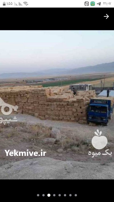 فروش کاه گندم پرس یونجه کلش در بیستون در گروه خوراک دام و طیور در یکمیوه -عکس2
