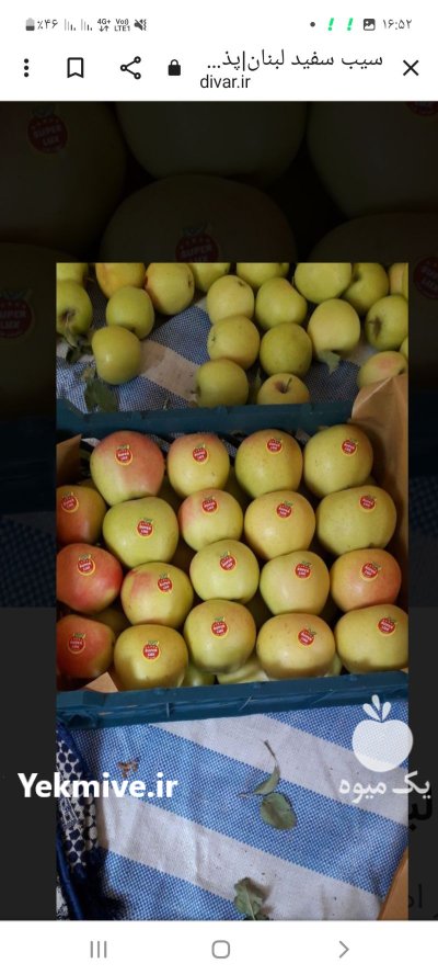 سیب لبنان پاییزی در اهر  در گروه خرید و فروش سیب در یکمیوه -عکس3