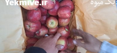 سیب لبنان پاییزی در اهر  در گروه خرید و فروش سیب در یکمیوه -عکس4