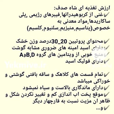 قارچ شاه صدف در ساری در گروه خرید و فروش قارچ در یکمیوه -عکس5