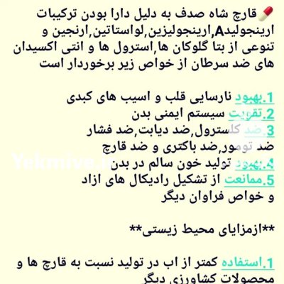 قارچ شاه صدف در ساری در گروه خرید و فروش قارچ در یکمیوه -عکس6