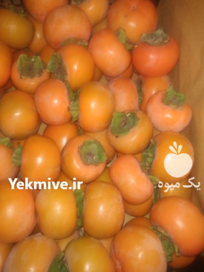 فروش پنج تن خرمالو در گروه خرید و فروش خرمالو در یکمیوه -عکس1