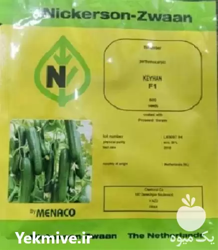 قیمت خرید بذر کیهان اصل محصول در گروه خرید و فروش بذر خیار در یکمیوه -عکس1