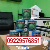 فروش بذر هندوانه میکادو در کرمان  در گروه خرید و فروش بذر هندوانه در یکمیوه