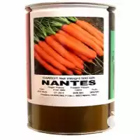 فروش بذر هویج نانتس ویکیما در بجنورد در گروه خرید و فروش بذر هویج در یکمیوه