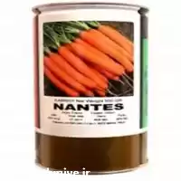 فروش بذر هویج نانتس هیبرید در شیراز در گروه خرید و فروش بذر هویج در یکمیوه