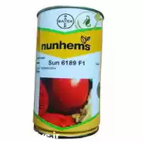 فروش بذر گوجه فرنگی 6189 دیررس در اهواز در گروه خرید و فروش بذر گوجه در یکمیوه