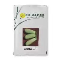 فروش بذر کدو خورشتی اسما در گروه خرید و فروش بذر کدو در یکمیوه