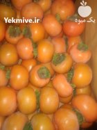 فروش پنج تن خرمالو