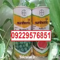 بذر هندوانه مونتانا پرفروش در گروه خرید و فروش بذر هندوانه در یکمیوه
