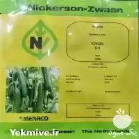 قیمت خرید بذر کیهان اصل محصول در گروه خرید و فروش بذر خیار در یکمیوه