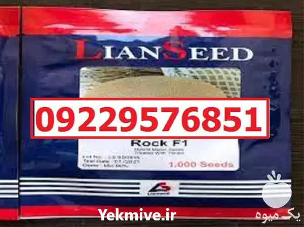 فروش بذر خربزه راک با کیفیت در مشهد در گروه خرید و فروش بذر خربزه در یکمیوه -عکس1