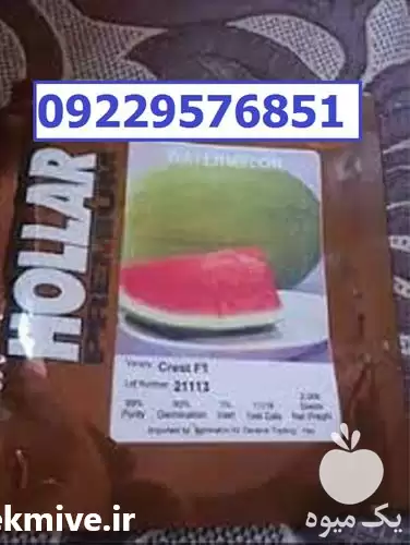 بذر هندوانه هولار پرفروش اصل در کرمان  در گروه خرید و فروش بذر هندوانه در یکمیوه -عکس1