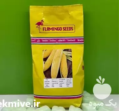 قیمت خرید بذر ذرت سمیرا ارسال در اصفهان در گروه خرید و فروش بذر ذرت در یکمیوه -عکس1