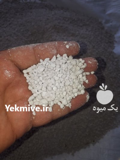 دی کلسیم فسفات مکمل خوراک دام در ورامین در گروه خوراک دام و طیور در یکمیوه -عکس1