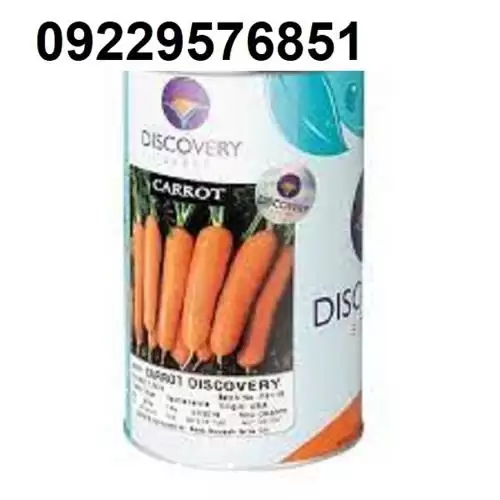 قیمت خرید بذر هویج دیسکاوری اصل در اهواز در گروه خرید و فروش بذر هویج در یکمیوه -عکس1