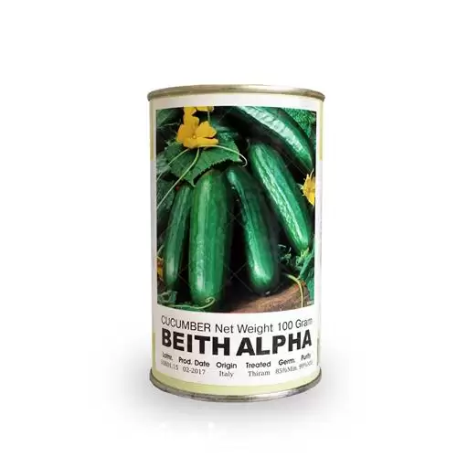 فروش عرضه بذر خیار گلخانه ای در سمنان در گروه خرید و فروش بذر خیار در یکمیوه -عکس1