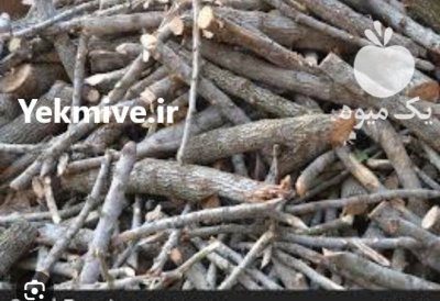 خریدار چوب هرس مرکبات پرتقال لیمو در محمدیه در گروه خرید و فروش انواع چوب در یکمیوه -عکس1