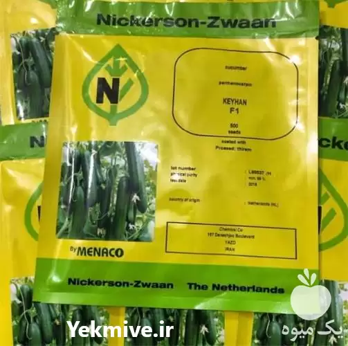 قیمت خرید بذر خیار گلخانه ای در کرج در گروه خرید و فروش بذر خیار در یکمیوه -عکس1